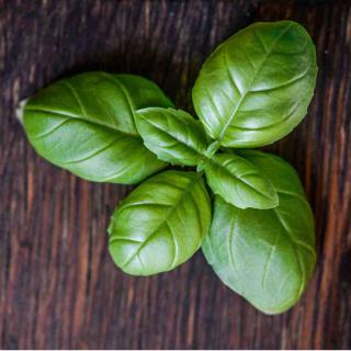 Basil health benefits