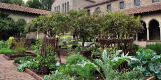 Cloister garden with flowers and vegetables all in the same patch.