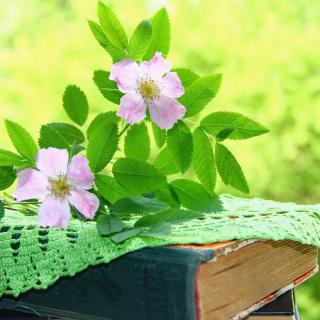 Books show health benefits of dogrose.