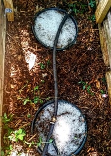 Two large pans filled with hydrogel water crystals crossed by an irrigation pipe provide a miniature man-made aquifer for plants.