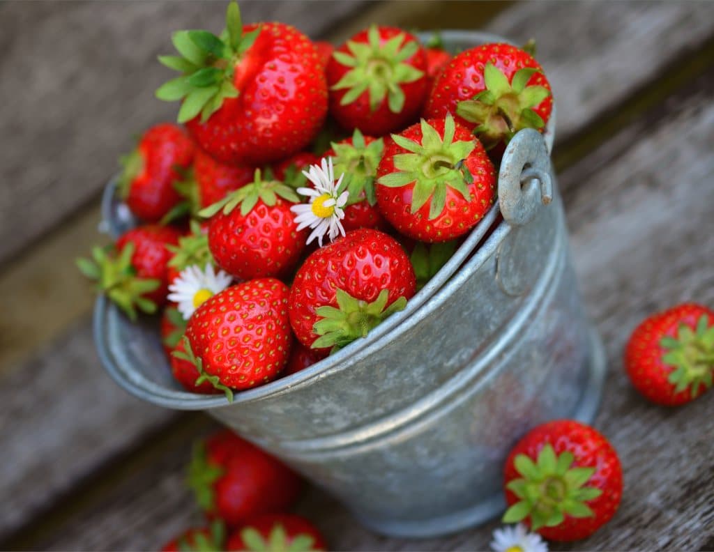 A tin bucket filled with strawberries on a dark wooden plank.