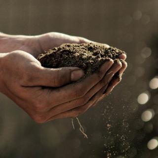 Hands topdressing