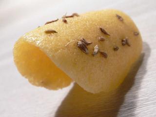 Cooking with aniseed