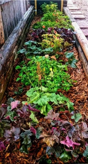 hydrogel flower bed