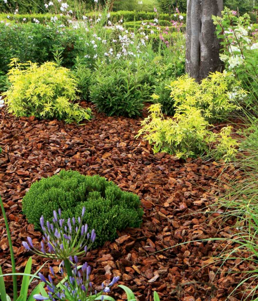 Mulching - why put mulch in a garden, and which is the best