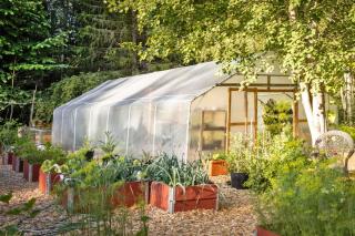 Orange trees and citrus need to spend winter in a greenhouse