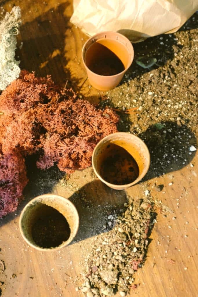 Three pots on a workbench with soil, peat and filler materials.