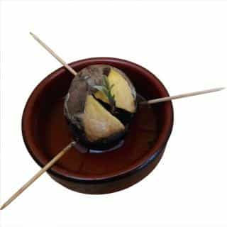 Avocado seed sprouting