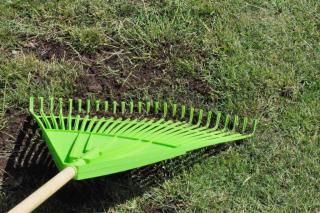 Raking topdress onto a lawn