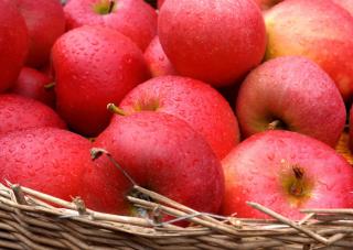 Basket of apples
