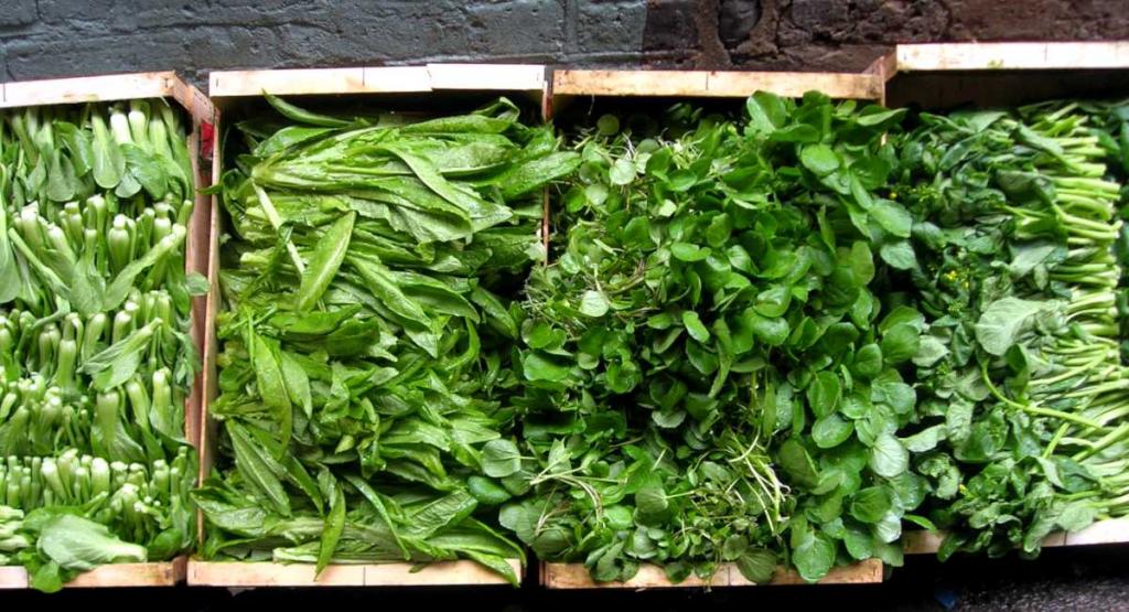 Four seasons greens in crates
