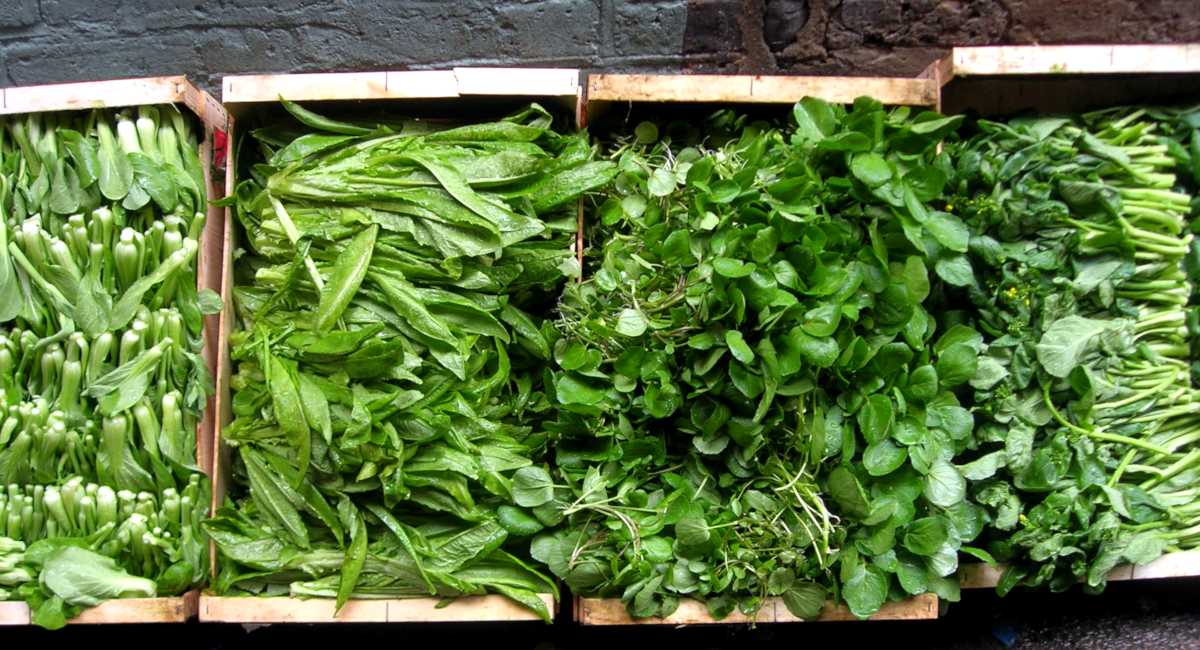 Four seasons greens in crates