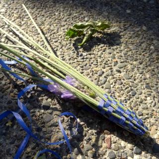 How to make lavender wands