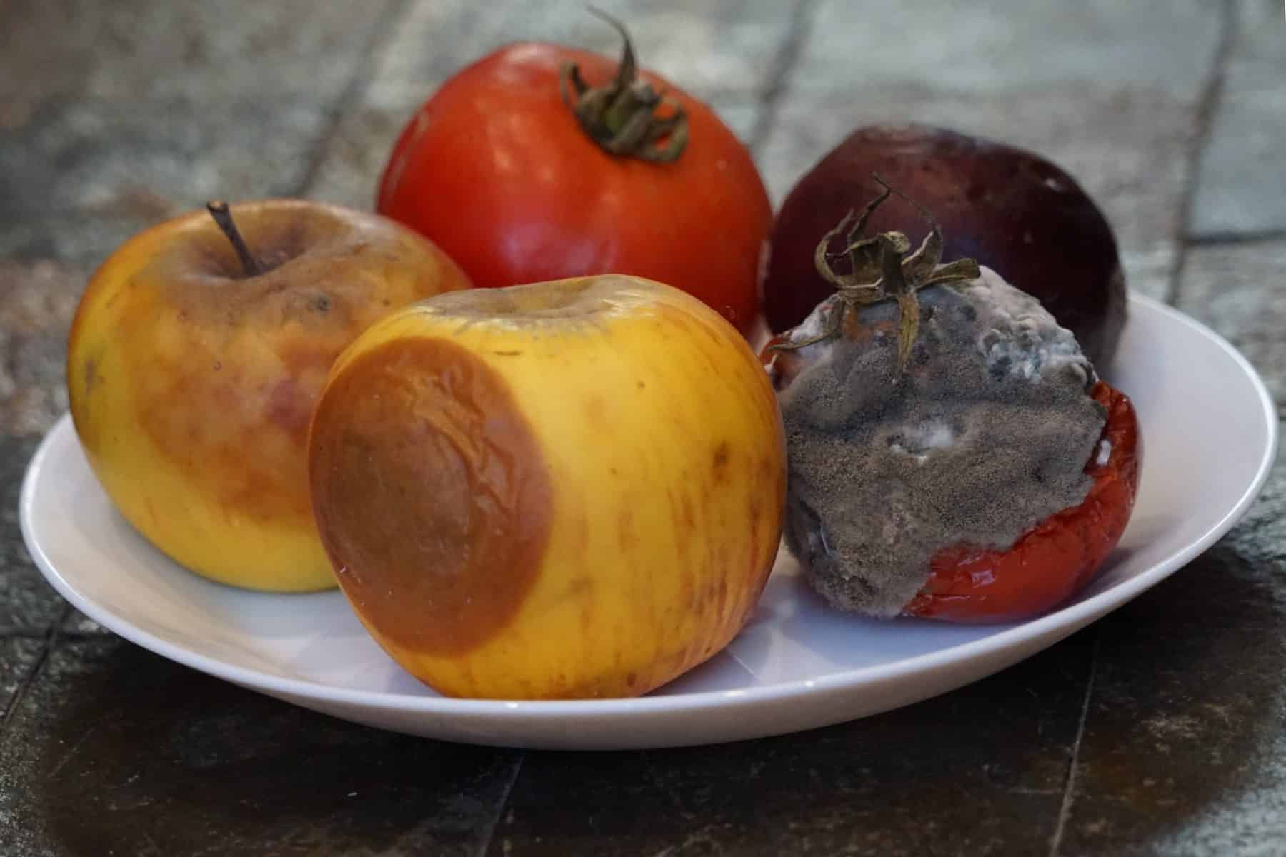 A plate with molding food like apples, prunes and tomato.