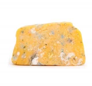 Block of moldy cheese.