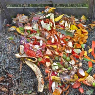 Uses of compost prepared from kitchen scraps