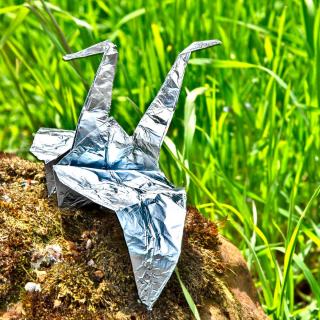thrips aluminum