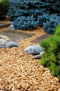 Wood chip mulch with stones, juniper and walkway