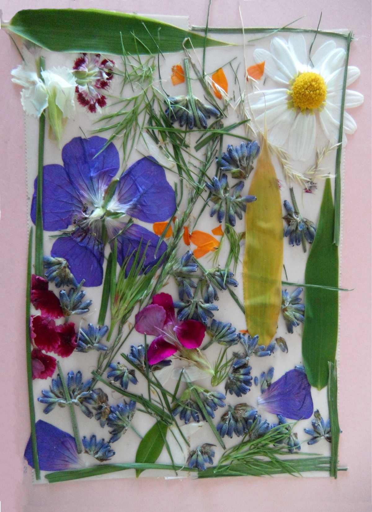 Herbarium cover with flowers