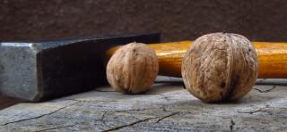 Two walnuts and a hammer