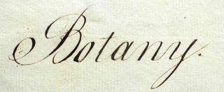Botany written on a page