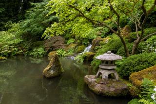 Pond with Japanese ornaments and plants for a great meditative impact