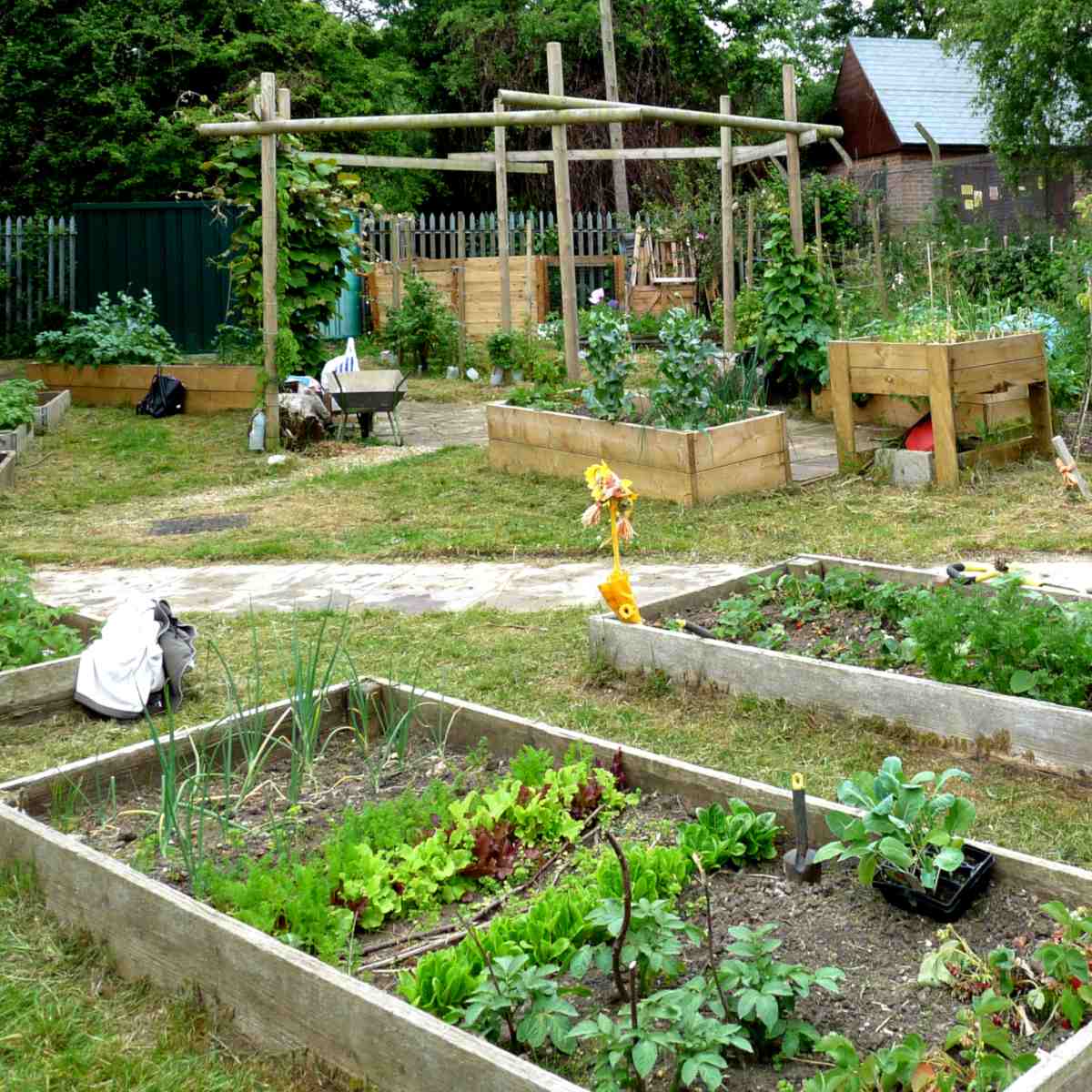 Empty shared community garden