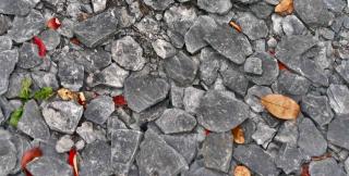 Slate chips used for mulching