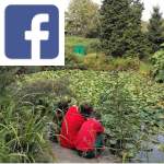 Picture related to Social distancing and gardening overlaid with the Facebook logo.