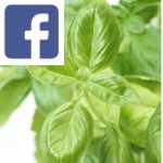 Picture related to Basil overlaid with the Facebook logo.