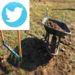 Picture related to Gardening during coronavirus overlaid with the Twitter logo.