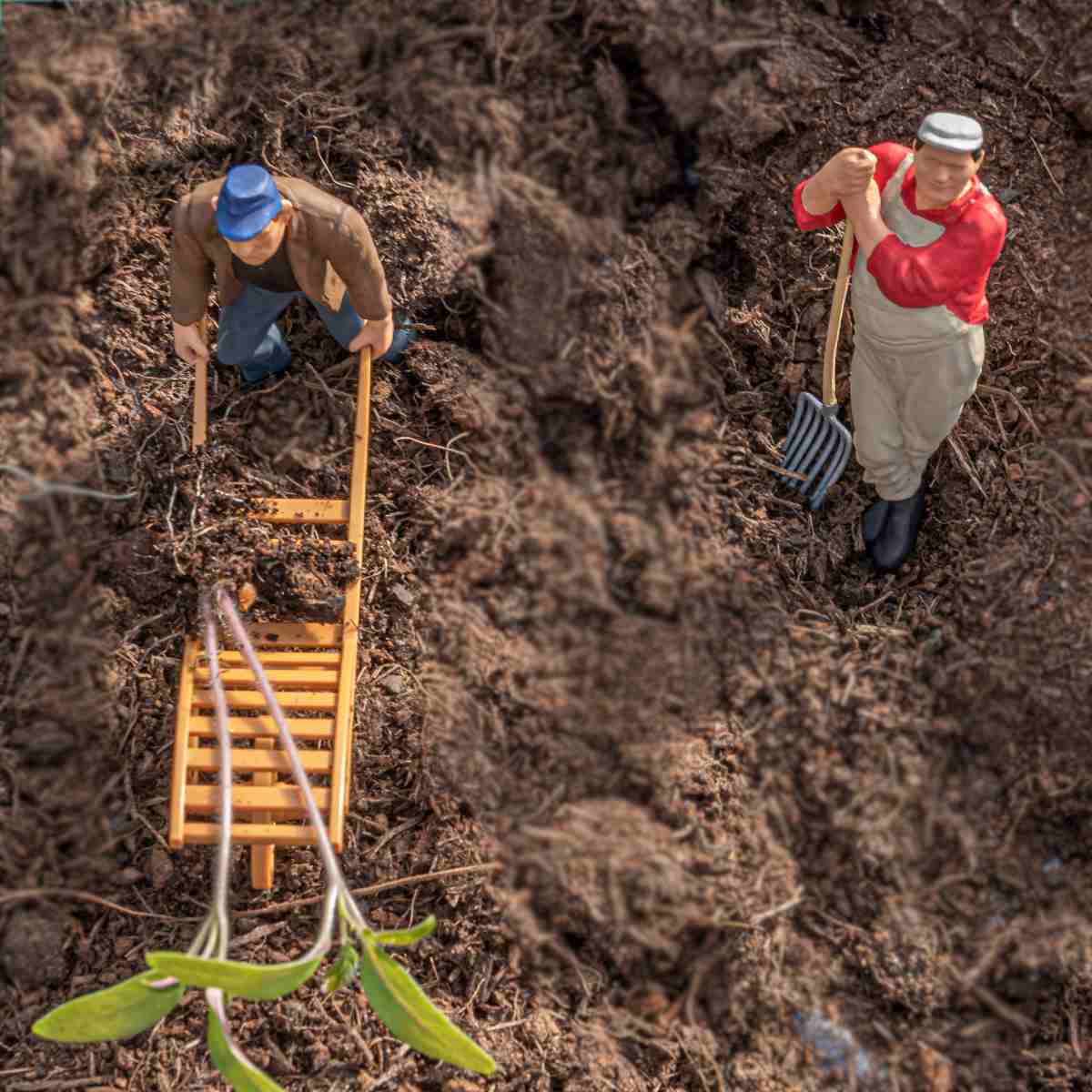 Coronavirus won't stop gardeners like these active seedling-planting toys!