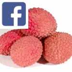 Picture related to Health benefits of lychee overlaid with the Facebook logo.