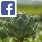 Picture related to Artichoke overlaid with the Facebook logo.