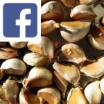 Picture related to Garlic overlaid with the Facebook logo.
