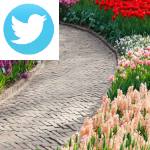 Picture related to March garden tasks overlaid with the Twitter logo.