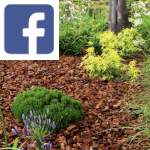 Picture related to Mulch overlaid with the Facebook logo.
