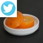 Picture related to Persimmon tree overlaid with the Twitter logo.
