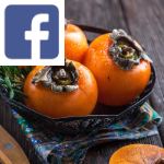 Picture related to Persimmon tree overlaid with the Facebook logo.