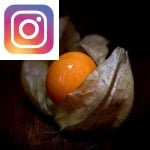 Picture related to Physalis health benefits overlaid with the Instagram logo.
