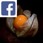 Picture related to Physalis overlaid with the Facebook logo.