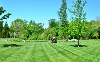 Lawn mower with large, perfect green lawn