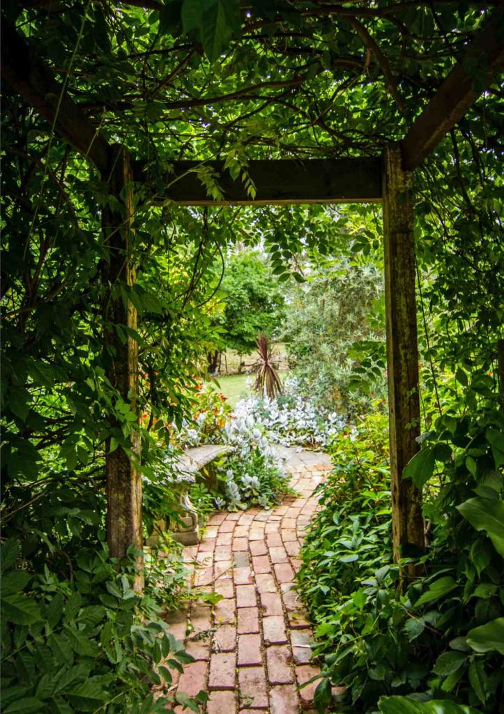 how to landscape narrow garden