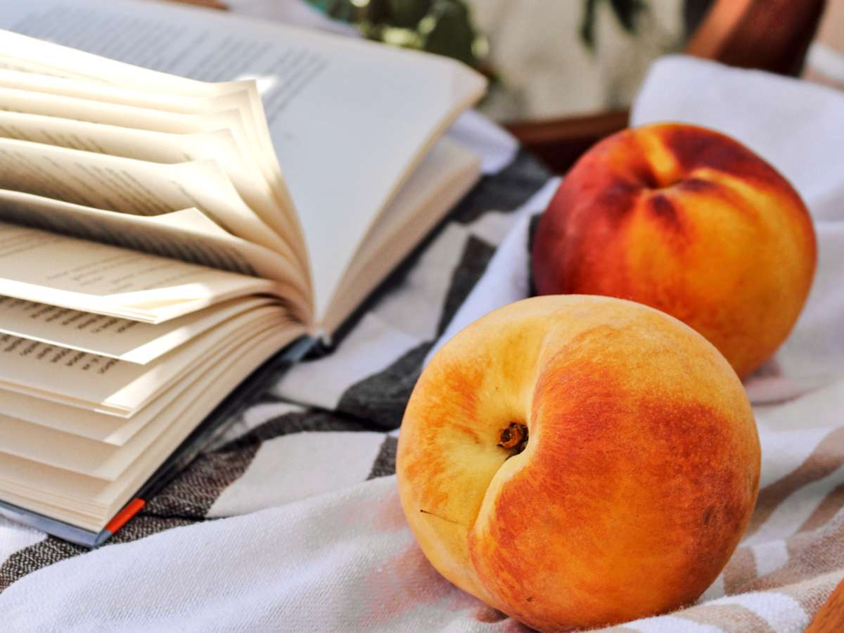Peach nectarine facts
