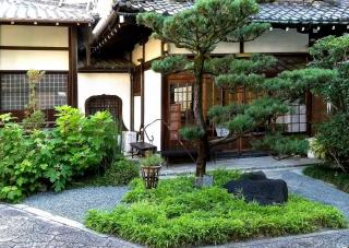 Small Japanese garden
