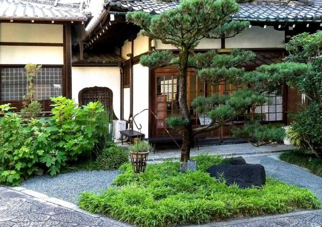 Small Japanese garden