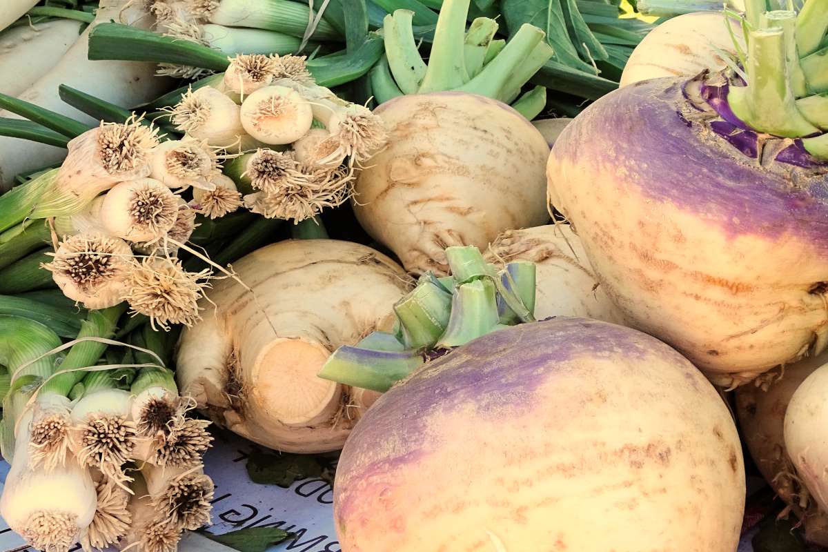 Rutabaga
