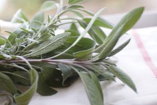 Health benefits of sage