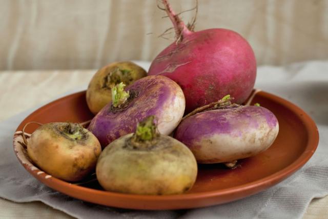 Turnip varieties have different pest resistance