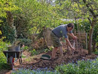 compost and humus